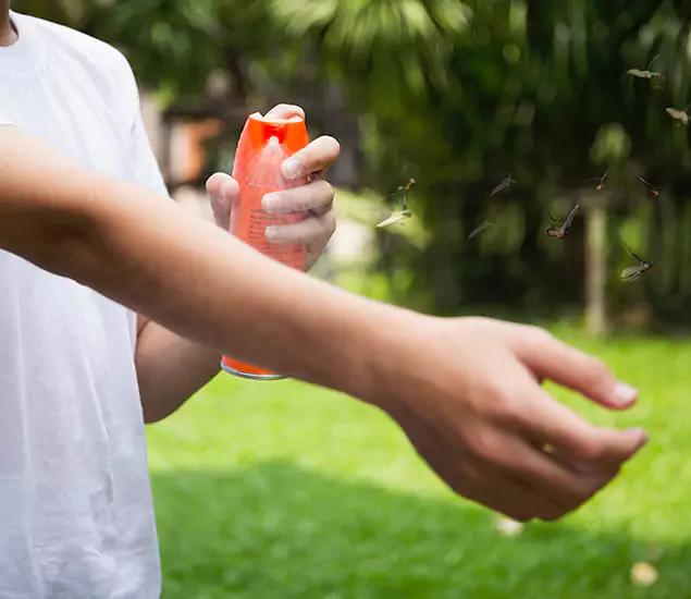 Your Best Indoor Bug Killer Team in Dallas, OR