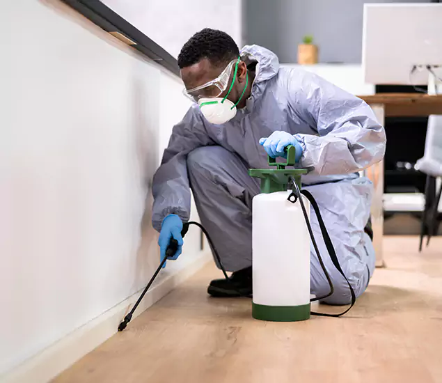 Leading Industrial Pest Control Experts Serving Dallas, OR