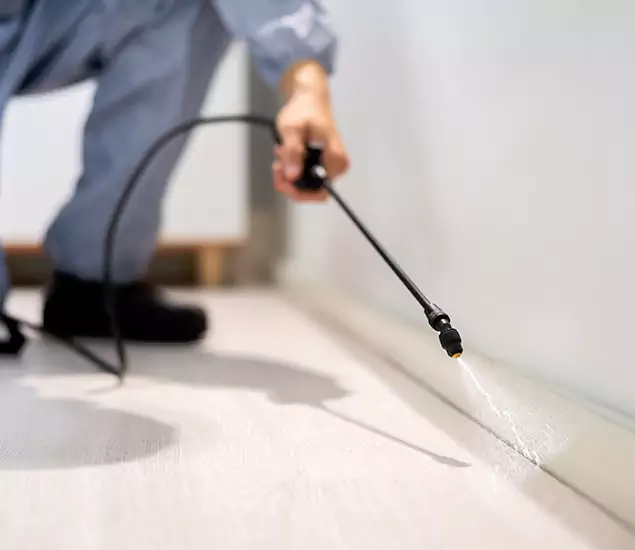 About Our Liquid Termite Treatment Experts in Dallas, OR