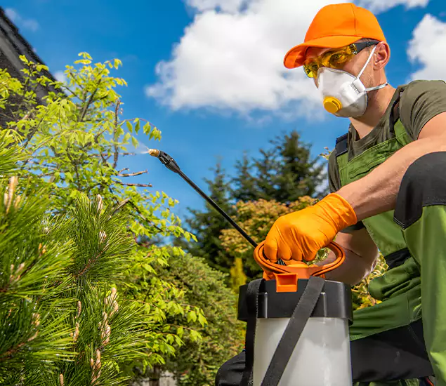 Your Mosquito Repellent Barrier Service in Dallas, OR