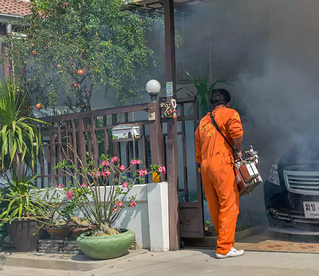 Your Proven Mosquito Fogging Company in Dallas, OR