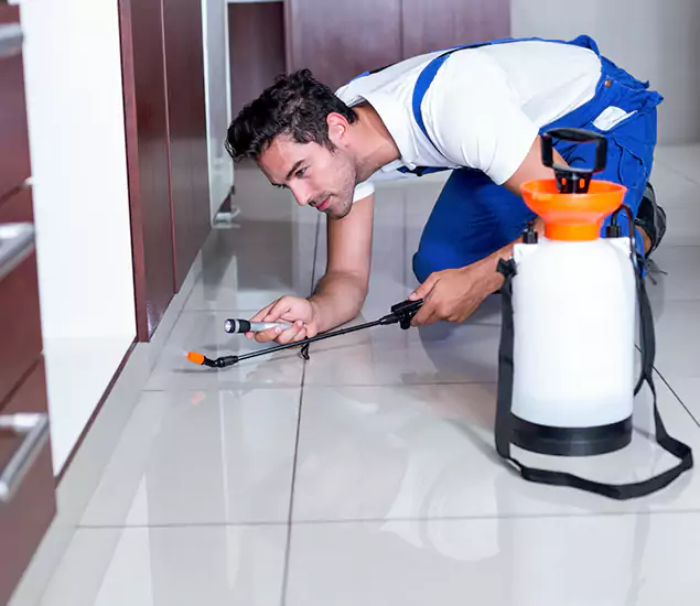 Reliable Professional Mouse Removal: Your Best Mouse Control Company in Dallas, OR