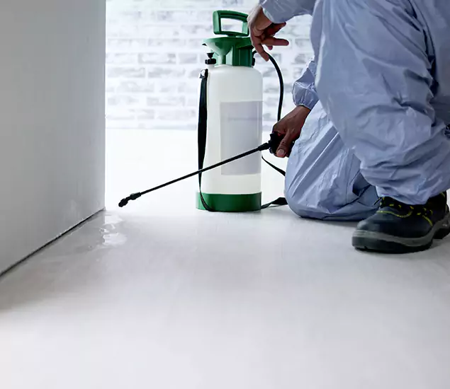 Affordable Pest Control Experts in Dallas, OR
