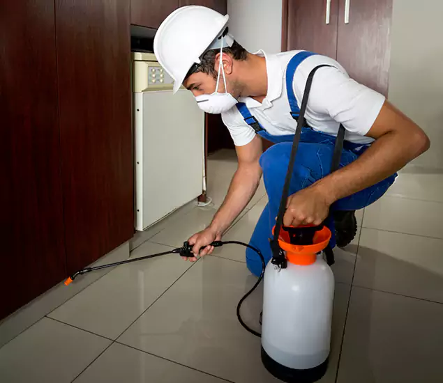Advanced Termite Pre Treatment Experts in Dallas, OR