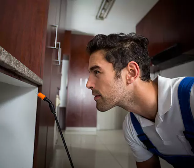 Expert Rodent in Attic Removal: Your Proven Pest Specialists in Dallas, OR