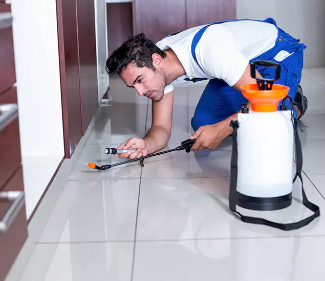 Advanced Slab Termite Treatment Experts You Can Trust&nbsp;in Dallas, OR