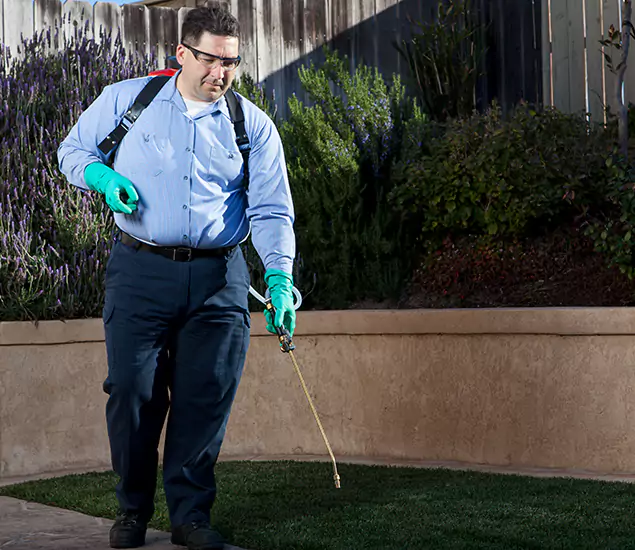 Reliable Termite Barrier Treatment Experts in Dallas, OR