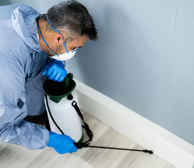 Reliable Termite Cost Experts in Dallas, OR