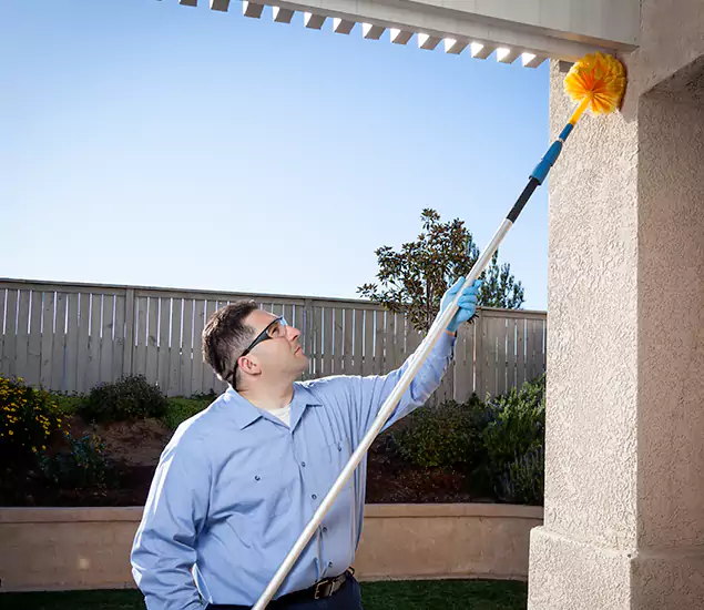 Your Trusted Wasp Removal Company in Dallas, OR