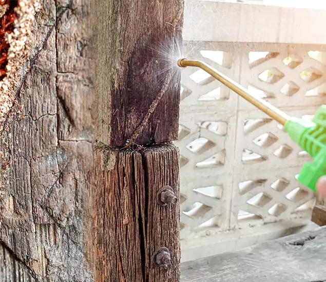 About Wood Termite Treatment Services in Dallas, OR