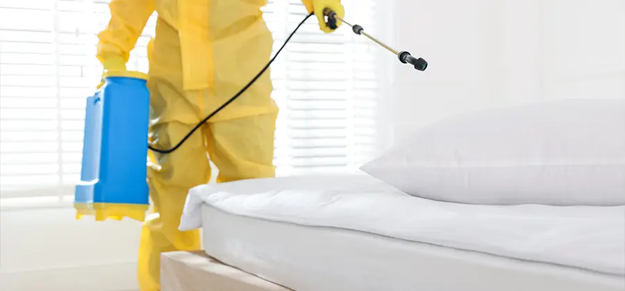 Targeted Chemical Application in Dallas