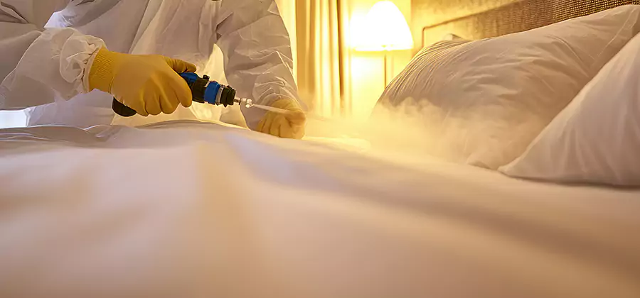 Bed Bug Steam Treatment Services in Dallas