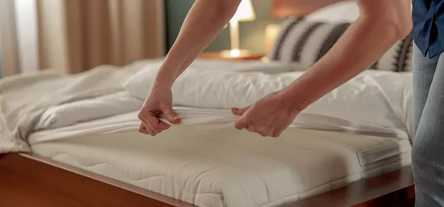 Bed Bug Extermination Services in Dallas