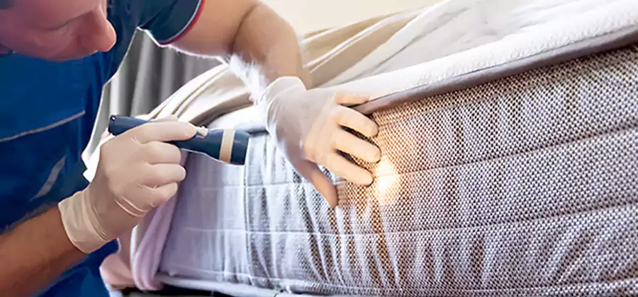 Residential Bed Bug Treatment Cost in Dallas