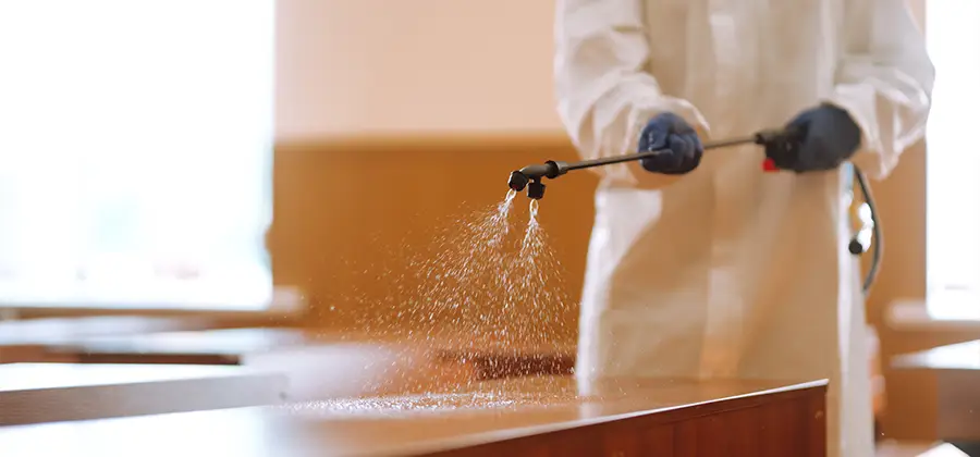 Residential Bed Bug Treatment Option in Dallas