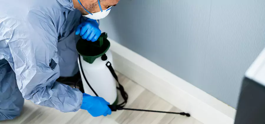 Fumigate Apartment Roaches in Dallas
