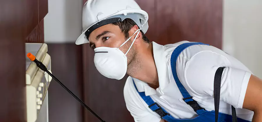 Injection Foam Treatment for Drywood Termites in Dallas