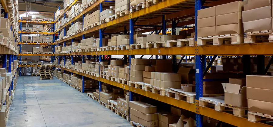 Warehouse Pest Control in Dallas
