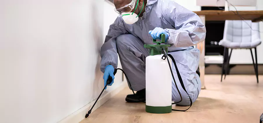 Long Lasting Mosquito Treatment in Dallas