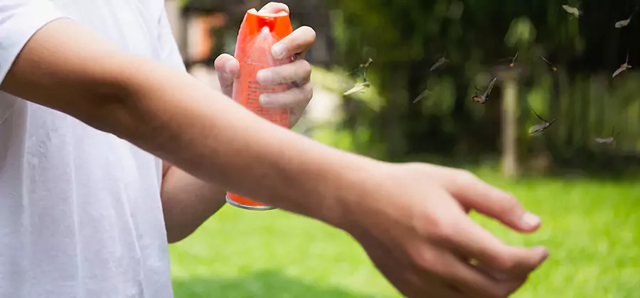 Mosquito and Tick Control Services in Dallas