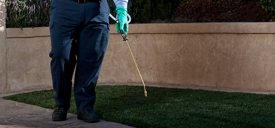 Soil Treatment for New Construction Termites in Dallas