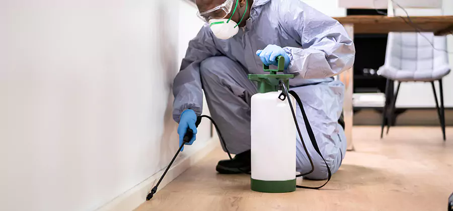 No Tent Termite Extermination With Electric Tool in Dallas