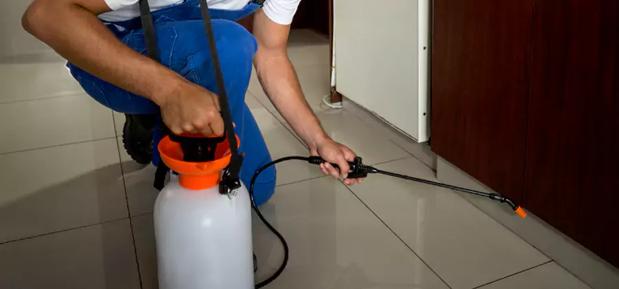 One Time Termite Control in Dallas