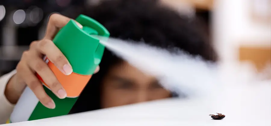 Child Safe Bed Bug Treatment in Dallas