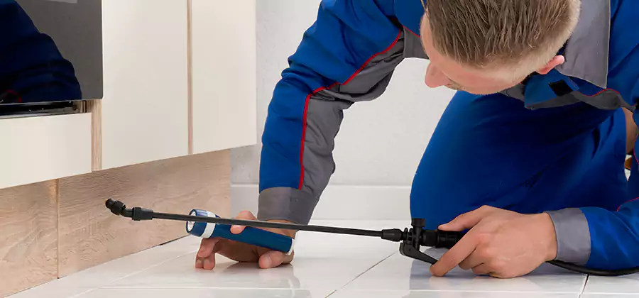 Moisture Treatment For Termite Control Service in Dallas