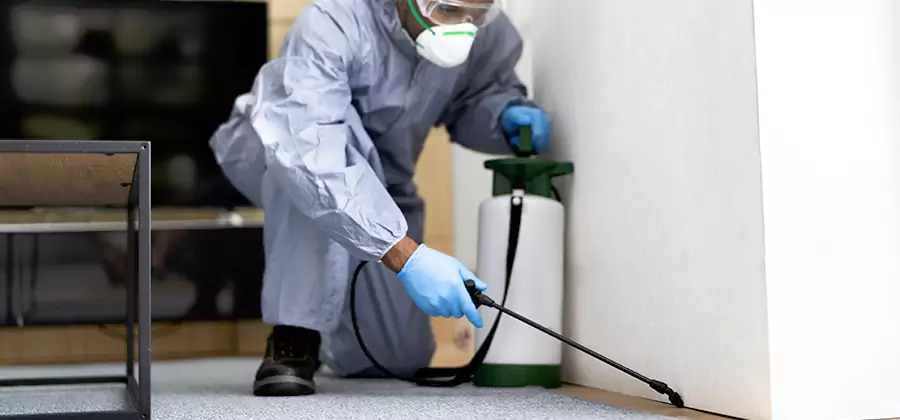 Wood Protection Termite Treatment in Dallas