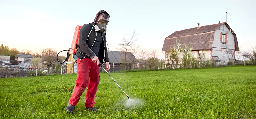 Flea and Tick Pest Control in Dallas