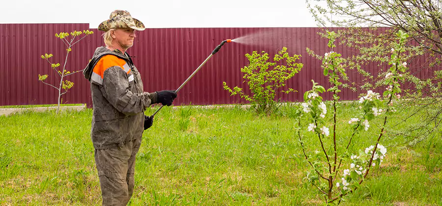 Flea and Tick Spray for Yard in Dallas