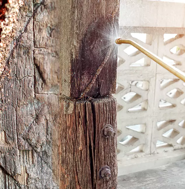Why Choose Rapid Pest Control Dallas for Attic Termite Treatment in Dallas, OR?