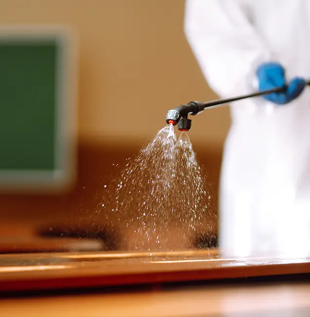Why Choose Rapid Pest Control Dallas for Bed Bug Chemical Treatment in Dallas, OR?
