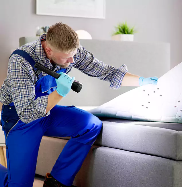 Why Choose Rapid Pest Control Dallas for Bed Bug Exterminator Cost in Dallas, OR?