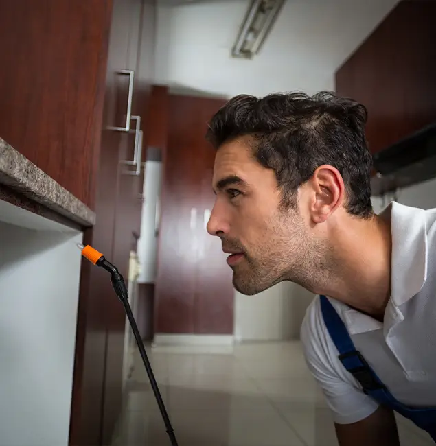 Why Choose Rapid Pest Control Dallas for Bed Bug Removal Cost in Dallas, OR?
