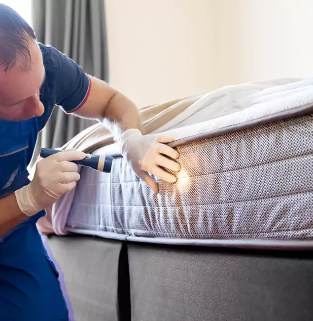 Why Choose Rapid Pest Control Dallas for Bed Bug Services in Dallas, OR?