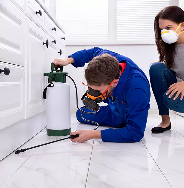 Why Choose Rapid Pest Control Dallas in Dallas, OR?