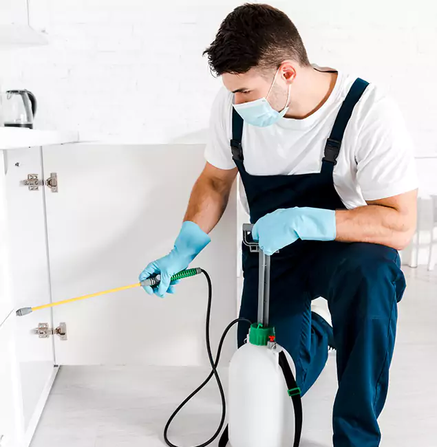 Why Choose Rapid Pest Control Dallas for Emergency Pest Control in Dallas?