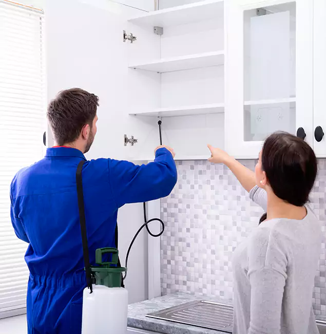 Why Choose Rapid Pest Control Dallas for Exterminator Services in Dallas, OR?