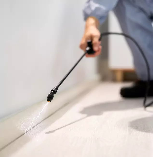 Why Choose Rapid Pest Control Dallas for Termite Treatment in Dallas, OR?