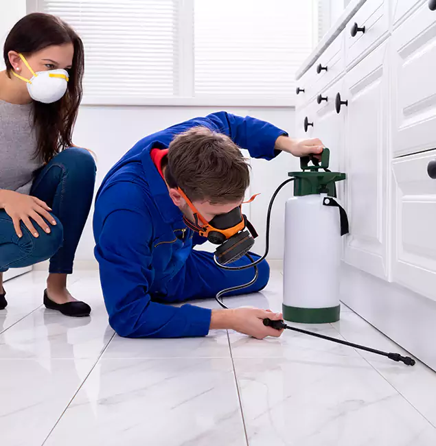 Why Dallas, OR Homeowners Trust Rapid Pest Control Dallas for Roach Control?