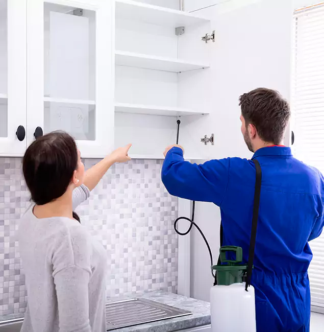 Why Dallas Property Owners Choose Rapid Pest Control Dallas for Ground Bee Removal?