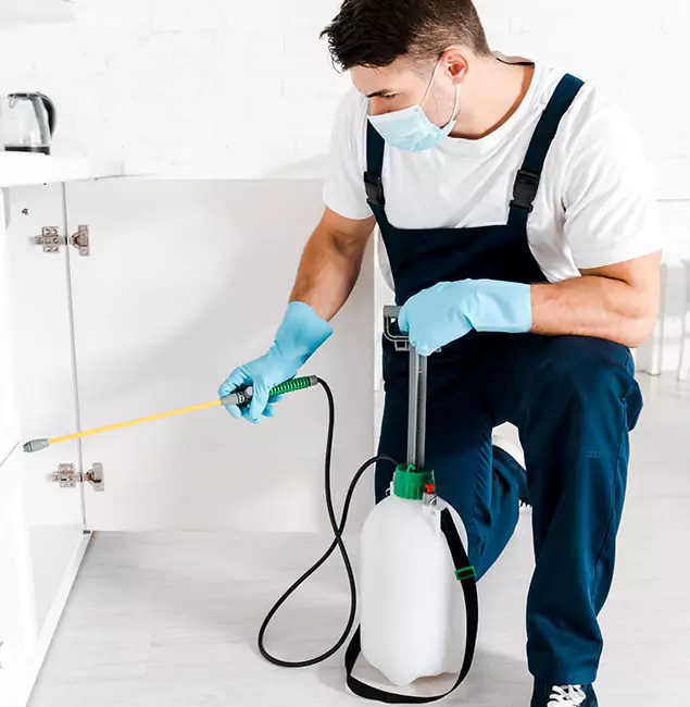 Why Choose Rapid Pest Control Dallas for Indoor Pest Control in Dallas, OR?