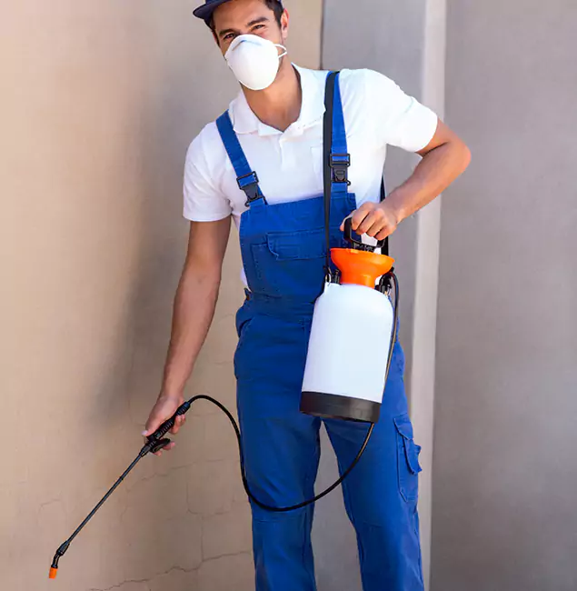 What Makes Rapid Pest Control Dallas the Right Choice in Dallas, OR?