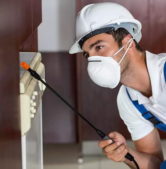 Why Dallas Homeowners Rely on Rapid Pest Control Dallas for Tick Treatment?