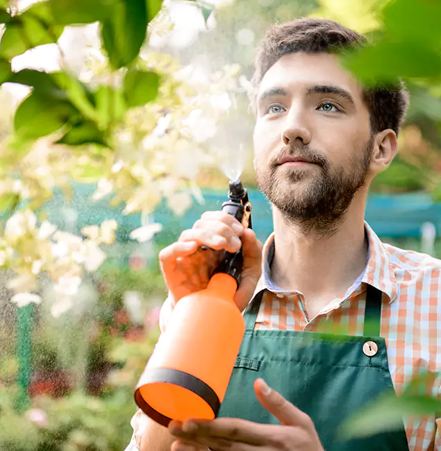 Why Rapid Pest Control Dallas Is the Best Mosquito Control Company in Dallas, OR?