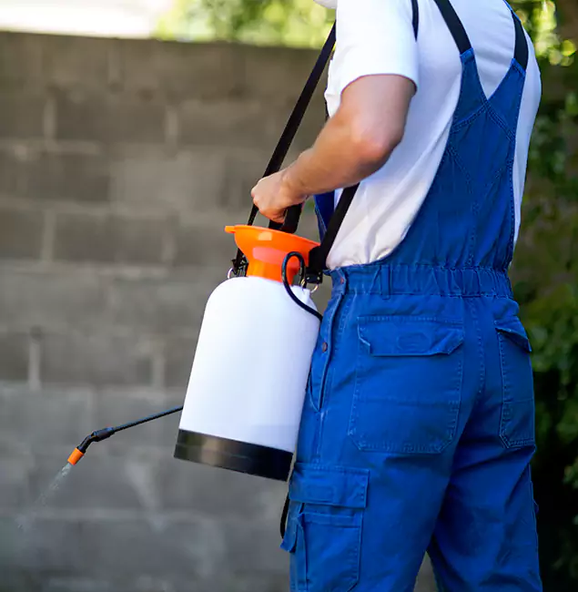 Why Rapid Pest Control Dallas Delivers the Best Mosquito Control in Dallas, OR?