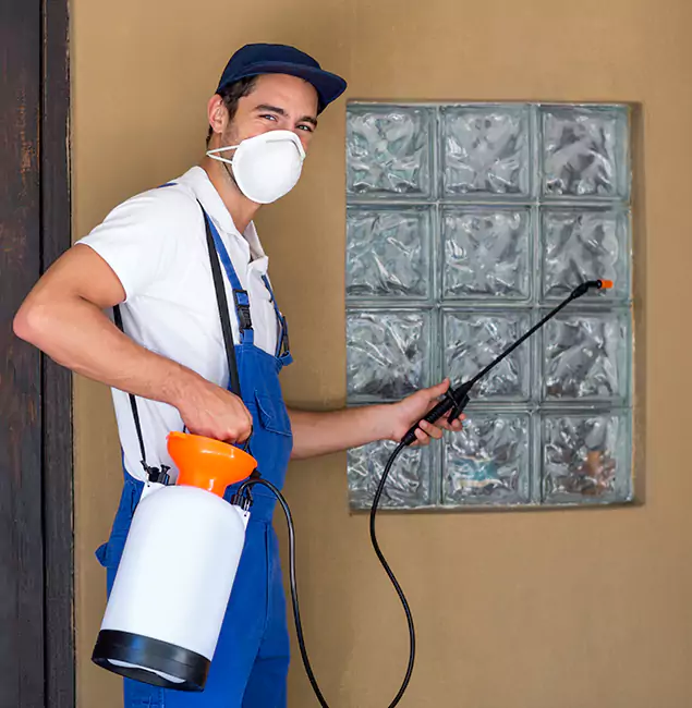 Why Rapid Pest Control Dallas Provides the Best Mosquito Control for Yard Properties in Dallas, OR?