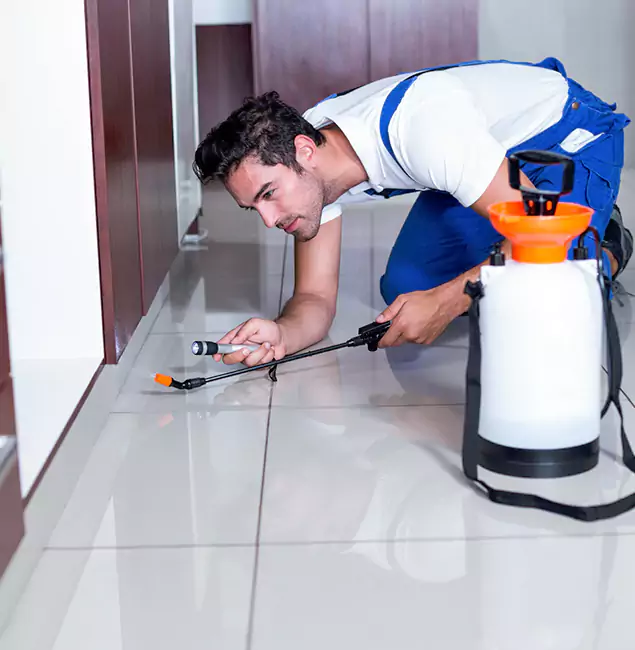 Why Rapid Pest Control Dallas Is the Proven Choice in Dallas, OR?